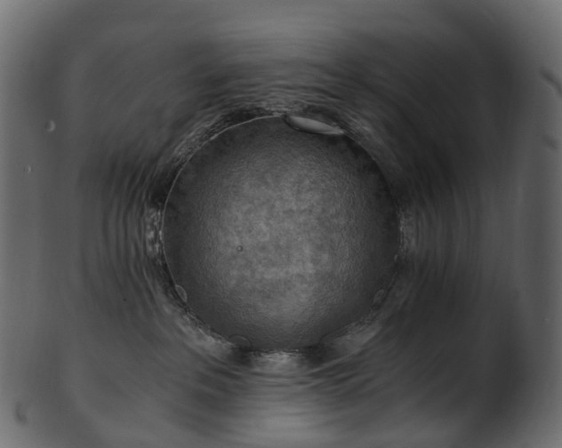 X0000101120237200807031811