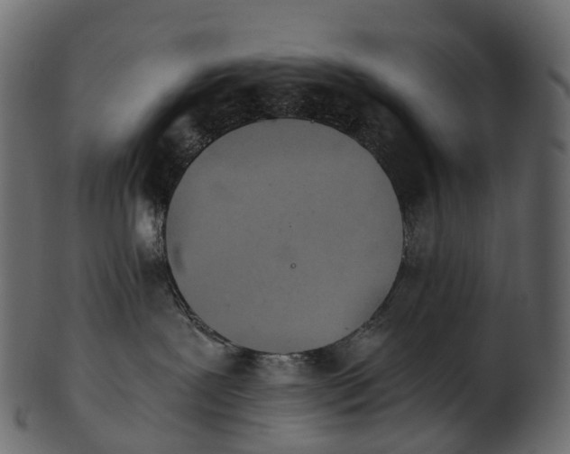 X0000101120239200807031811