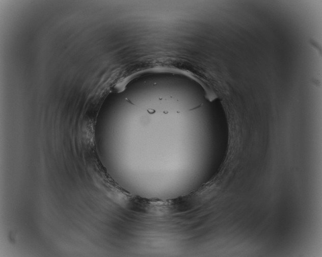 X0000101120240200807031811