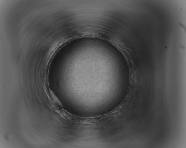 X0000101120241200807031810