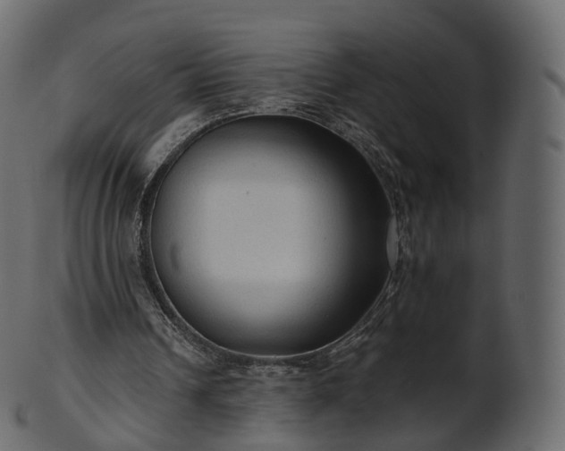 X0000101120242200807031810