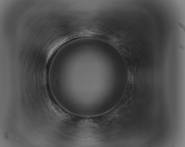 X0000101120244200807031810
