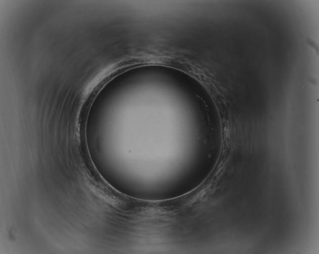 X0000101120246200807031810