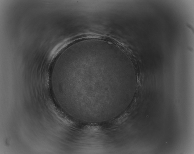 X0000101120247200807031810