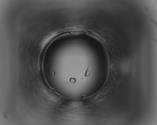 X0000101120248200807031810