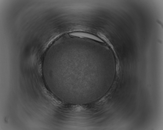 X0000101120249200807031810