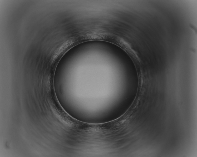 X0000101120250200807031810