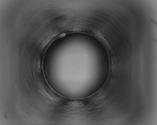 X0000101120251200807031810