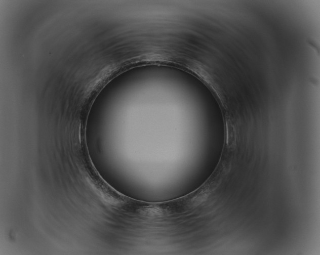 X0000101120253200807031810