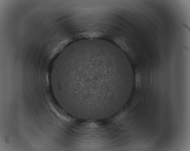 X0000101120254200807031810