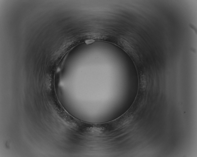X0000101120255200807031810
