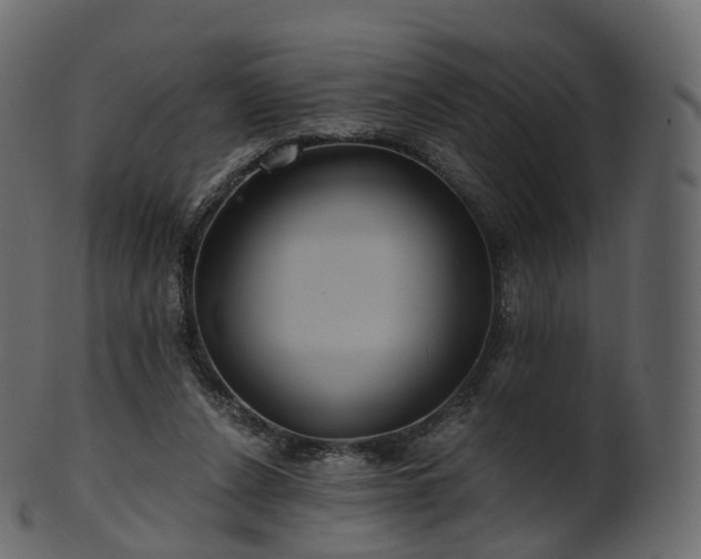 X0000101120256200807031810