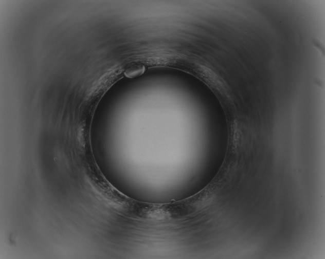 X0000101120258200807031810