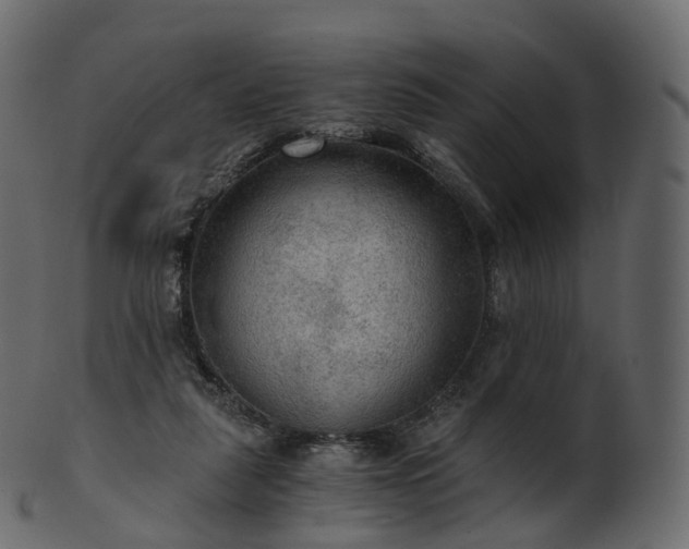 X0000101120259200807031810