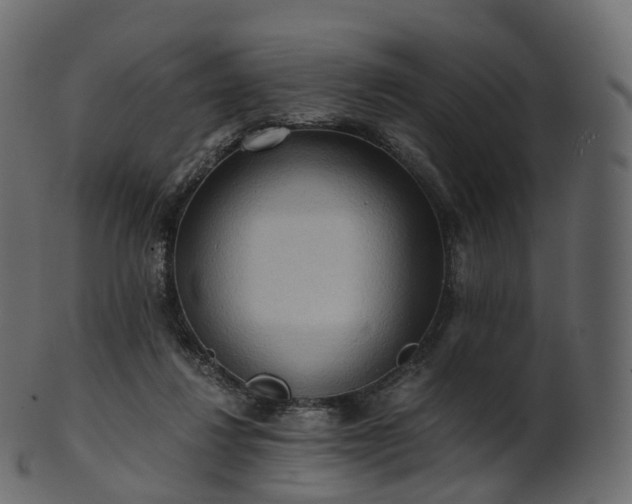 X0000101120260200807031810