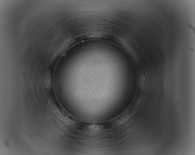 X0000101120261200807031810