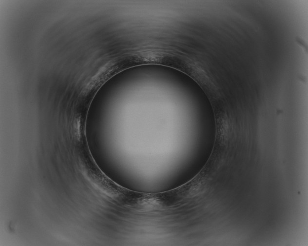 X0000101120262200807031810
