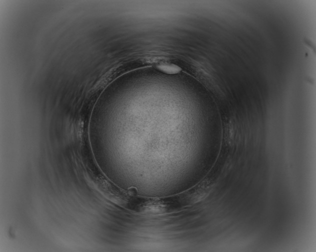 X0000101120263200807031810