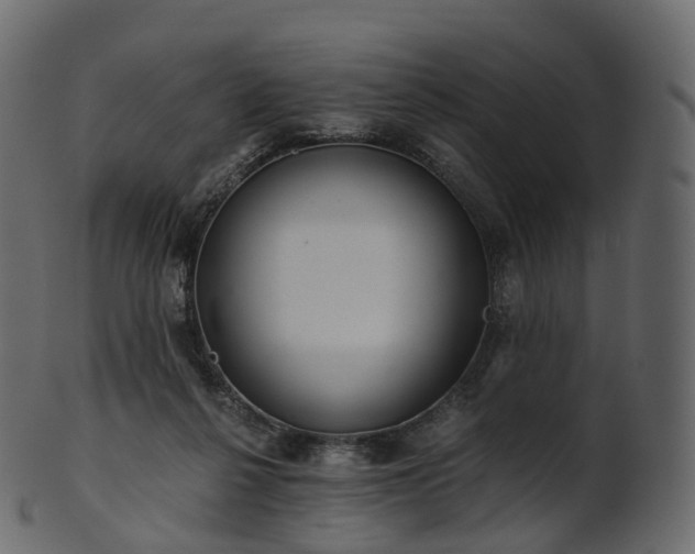 X0000101120264200807031810