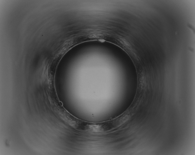 X0000101120265200807031810