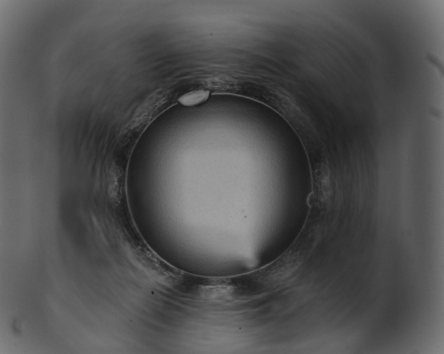 X0000101120266200807031810