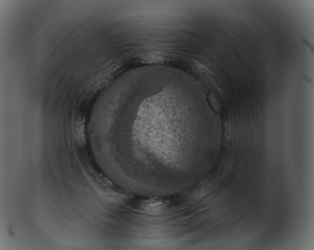 X0000101120267200807031810