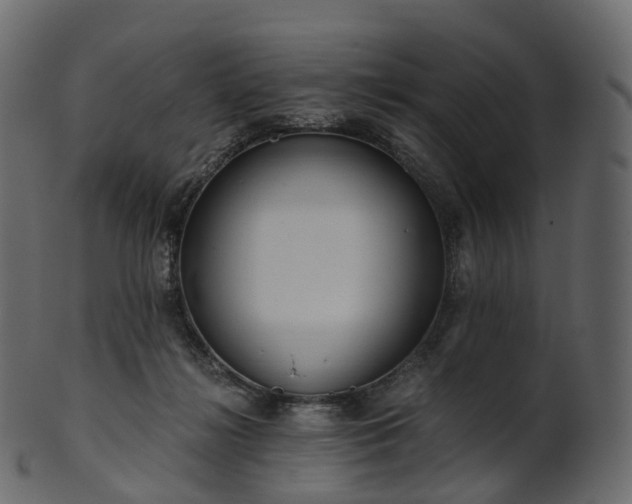 X0000101120268200807031810