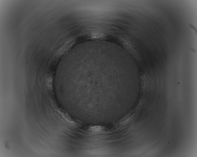 X0000101120269200807031810