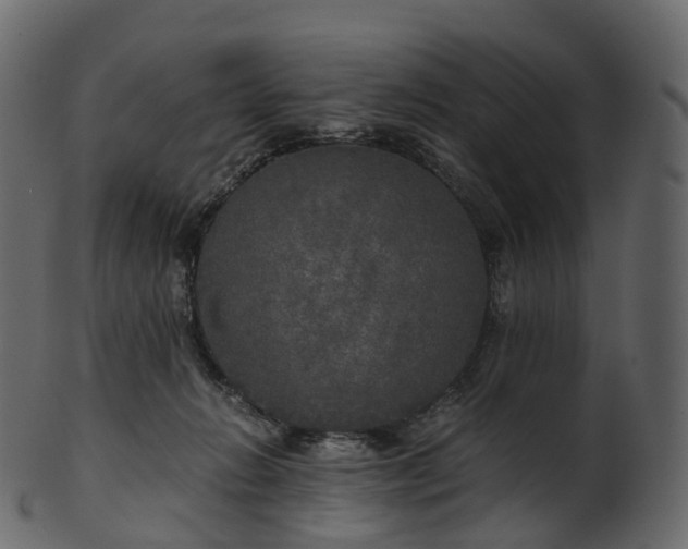 X0000101120270200807031810