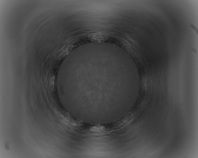 X0000101120271200807031810