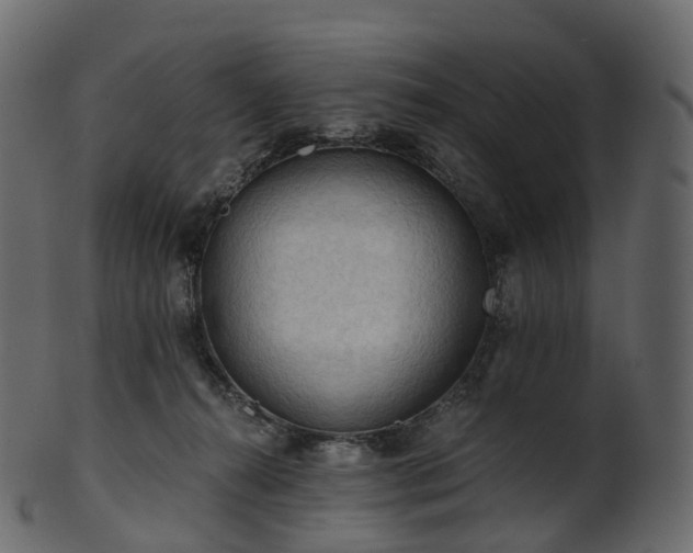 X0000101120272200807031810