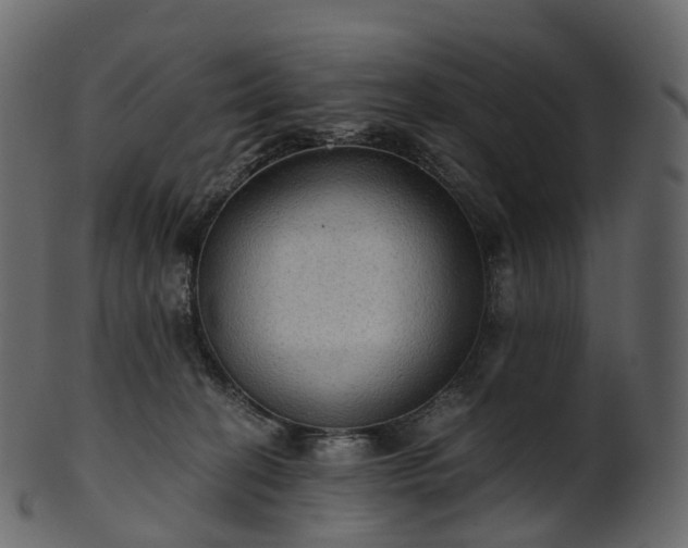 X0000101120274200807031810