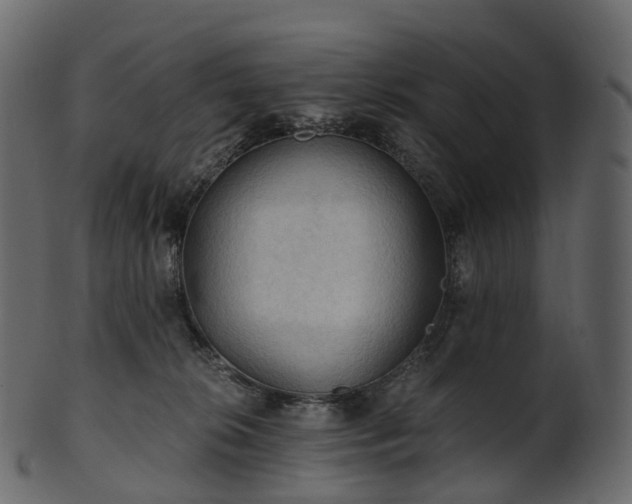 X0000101120276200807031810