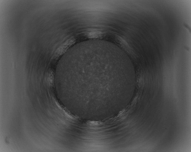 X0000101120277200807031810
