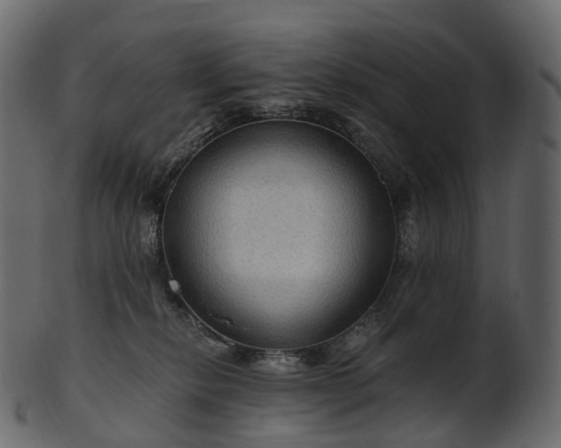 X0000101120278200807031810
