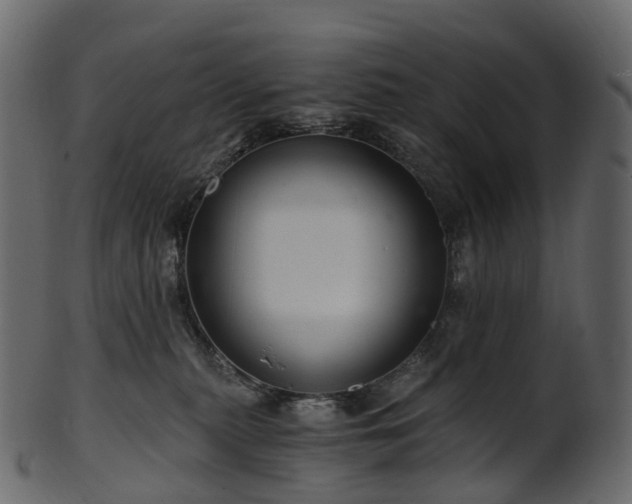 X0000101120279200807031810