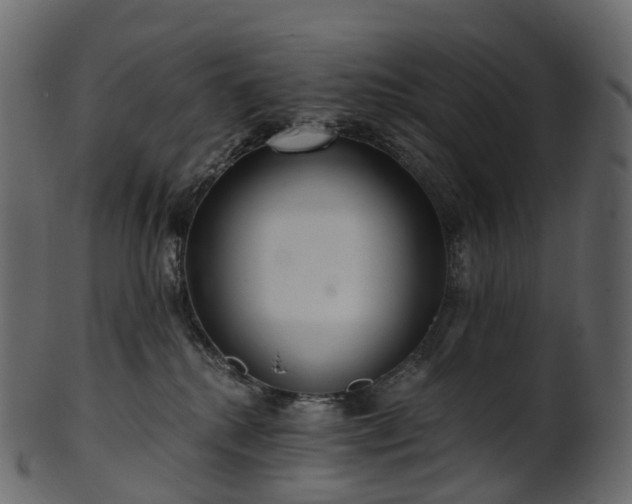 X0000101120280200807031810