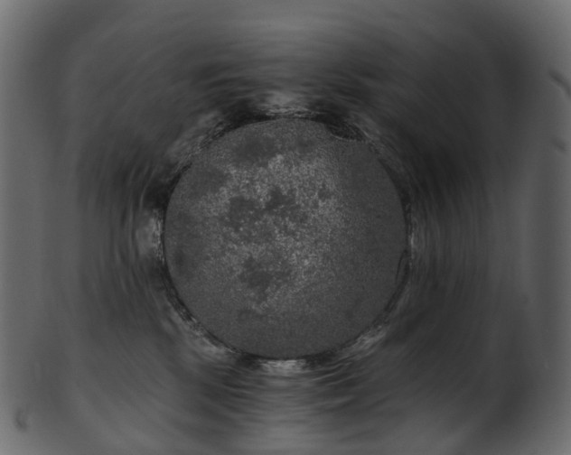 X0000101120281200807031810