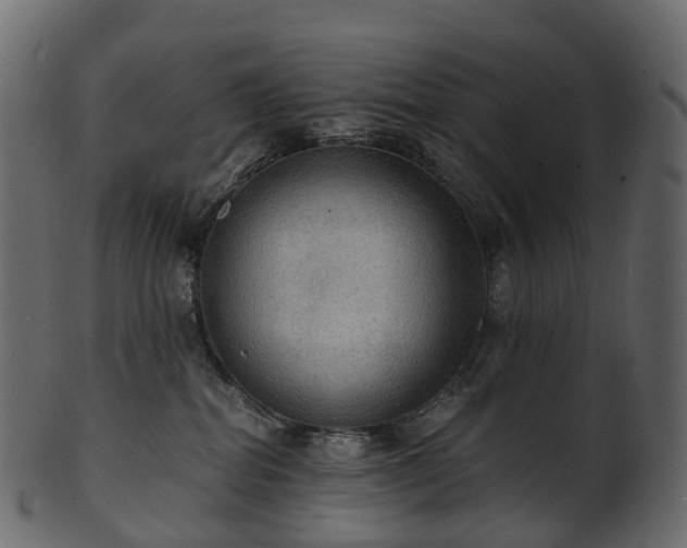 X0000101120282200807031810