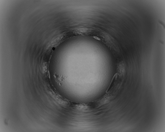 X0000101120284200807031811
