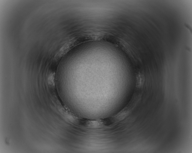 X0000101120286200807031811