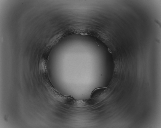 X0000101120287200807031811