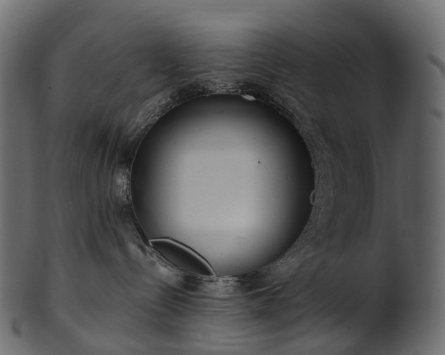 X0000101120288200807031811