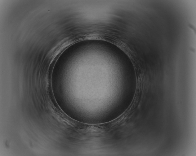 X0000101120290200807031810