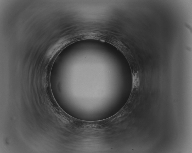 X0000101120291200807031810