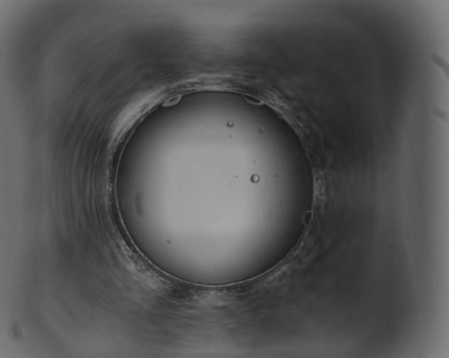 X0000101120293200807031810