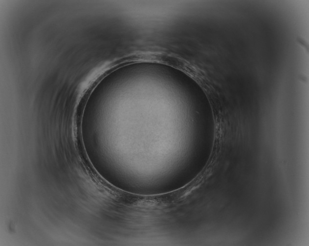 X0000101120294200807031810