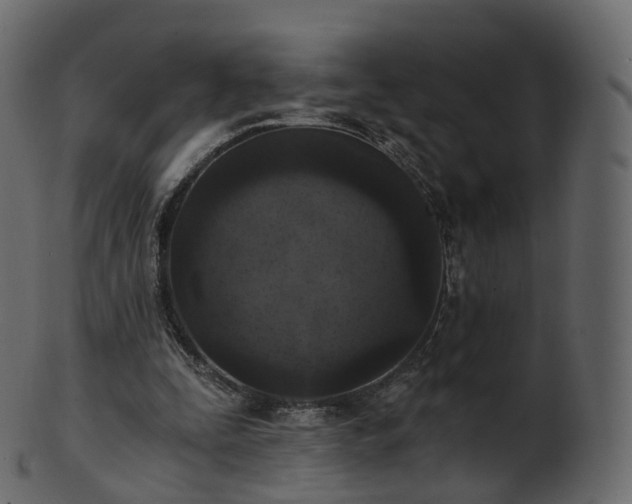 X0000101120295200807031810