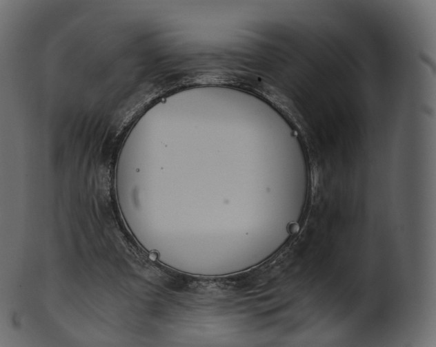 X0000101120297200807031810