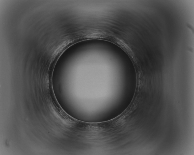 X0000101120298200807031810